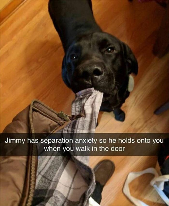 Jlmmy has EELEIEN amuety s0 he holds onto you when you walk in the door