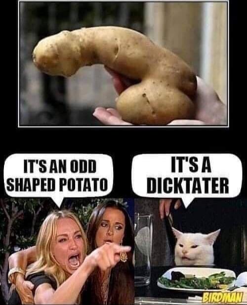 IT'S AN ODD SHAPED POTATO
IT'S A DICKTATER