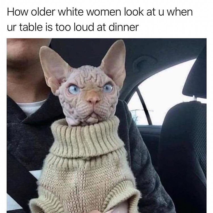 How older white women look at u when ur table is too loud at dinner