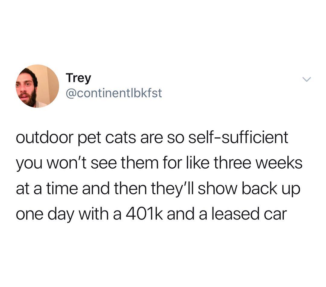 Trey continentlbkfst outdoor pet cats are so self sufficient you wont see them for like three weeks at a time and then theyll show back up one day with a 401k and a leased car