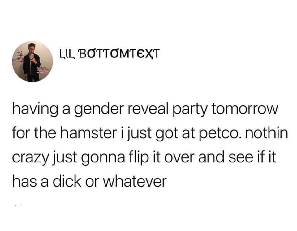 LIL BOTTOMTEXT having a gender reveal party tomorrow for the hamster i just got at petco nothin crazy just gonna flip it over and see if it has a dick or whatever
