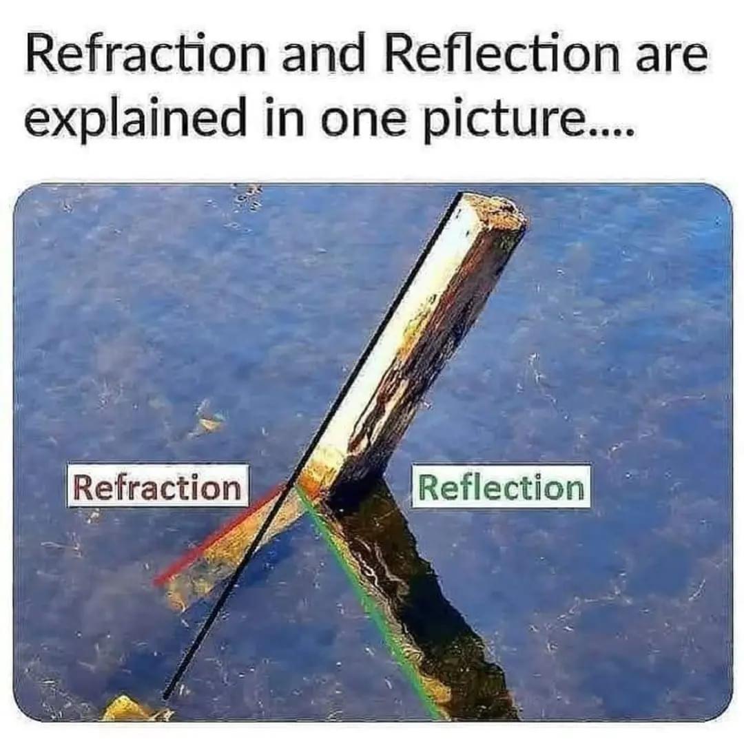 Refraction and Reflection are explained in one picture