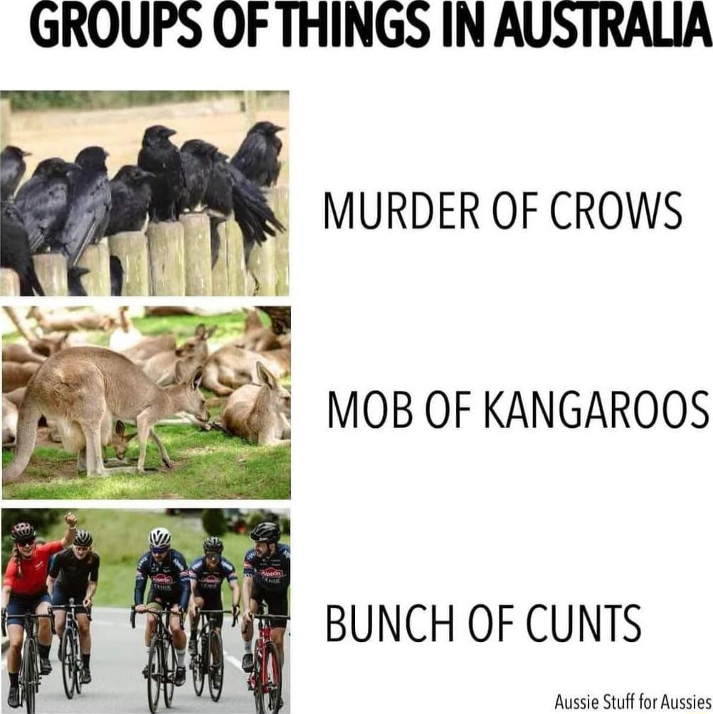 GROUPS OF THINGS IN AUSTRALIA MURDER OF CROWS