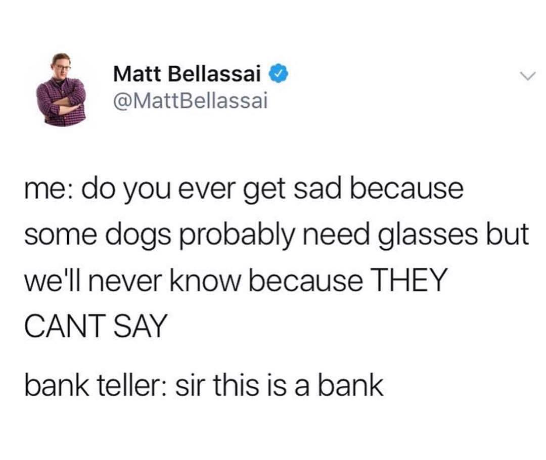 Matt Bellassai MattBellassai me do you ever get sad because some dogs probably need glasses but well never know because THEY CANT SAY bank teller sir this is a bank