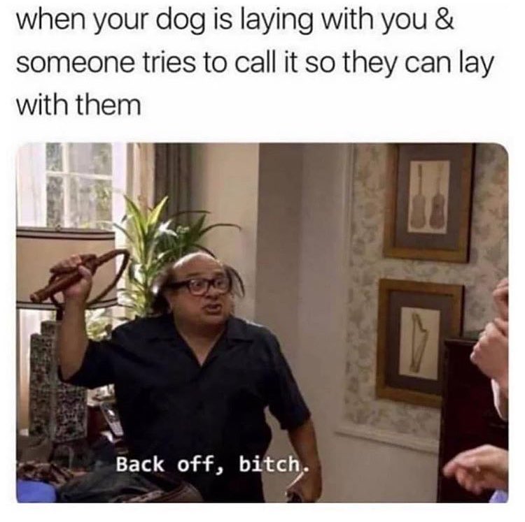 when your dog is laying with you someone tries to call it so they can lay with them Back off bitch