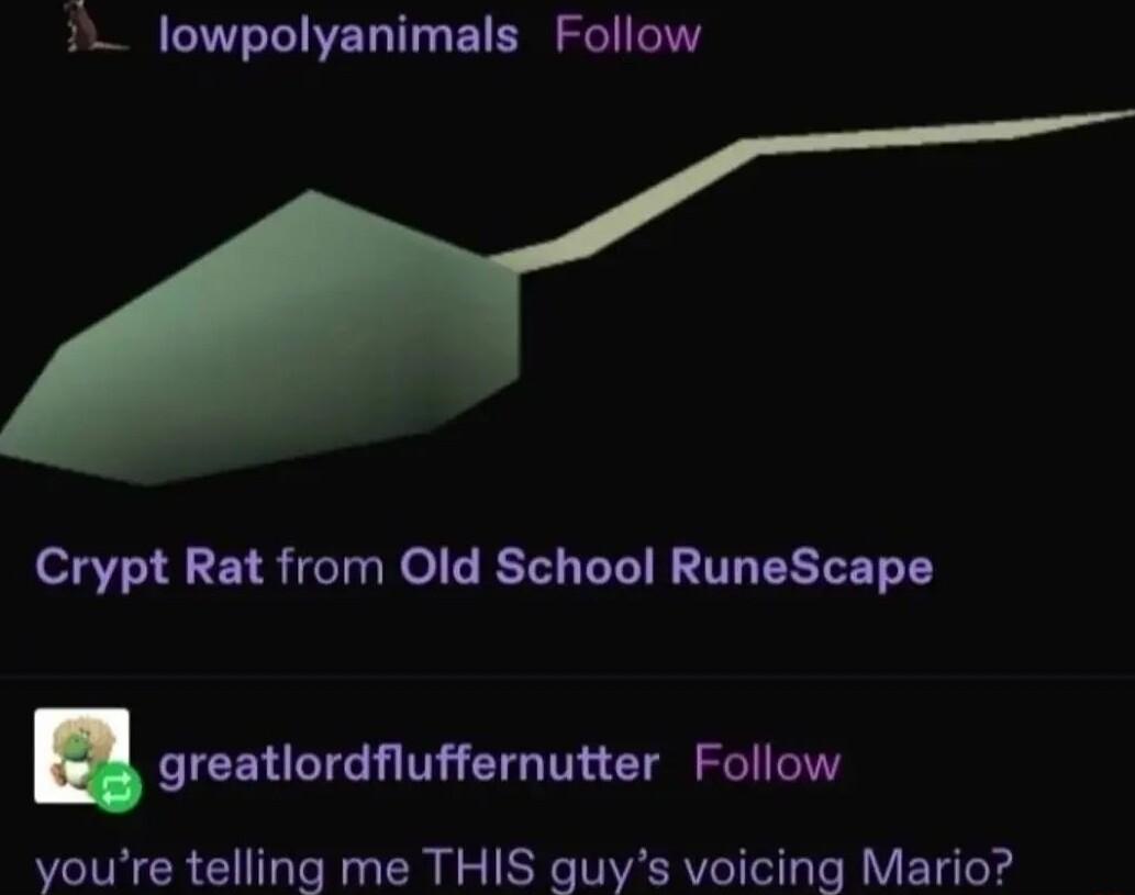N VT BT B e T Crypt Rat from Old School RuneScape greatlordfluffernutter Follow youre telling me THIS guys voicing Mario