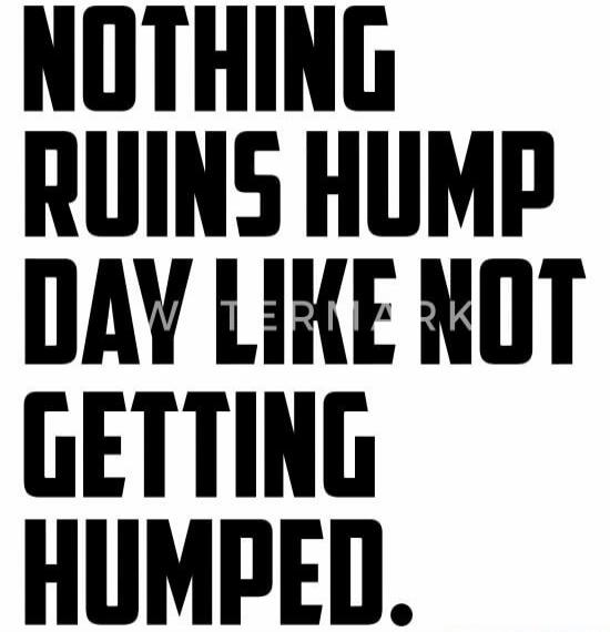 NOTHING RUINS HUMP DAY LIKE NOT GETTING HUMPED.