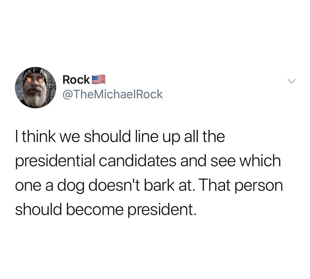 Rock TheMichaelRock think we should line up all the presidential candidates and see which one a dog doesnt bark at That person should become president
