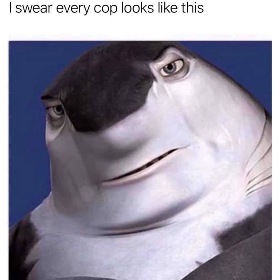 swear every cop looks like this