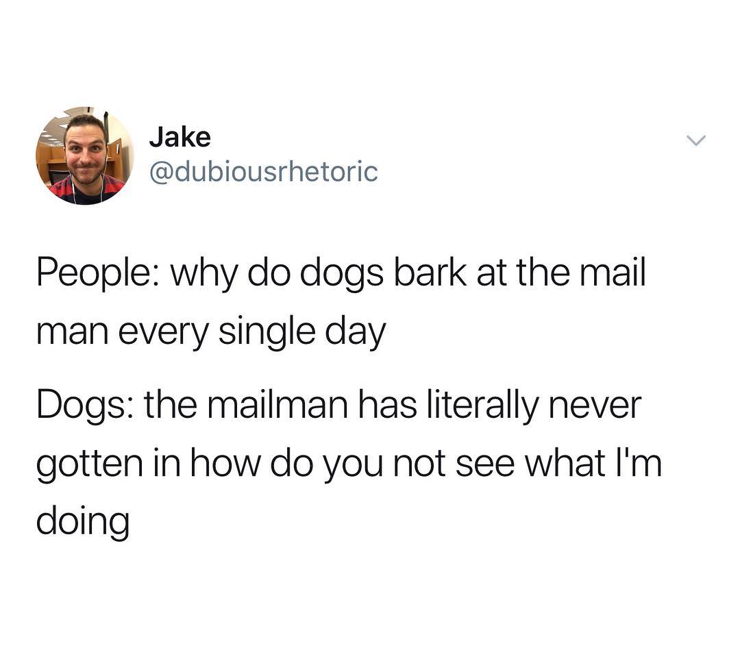 Jake dubiousrhetoric People why do dogs bark at the mail man every single day Dogs the mailman has literally never gotten in how do you not see what Im doing