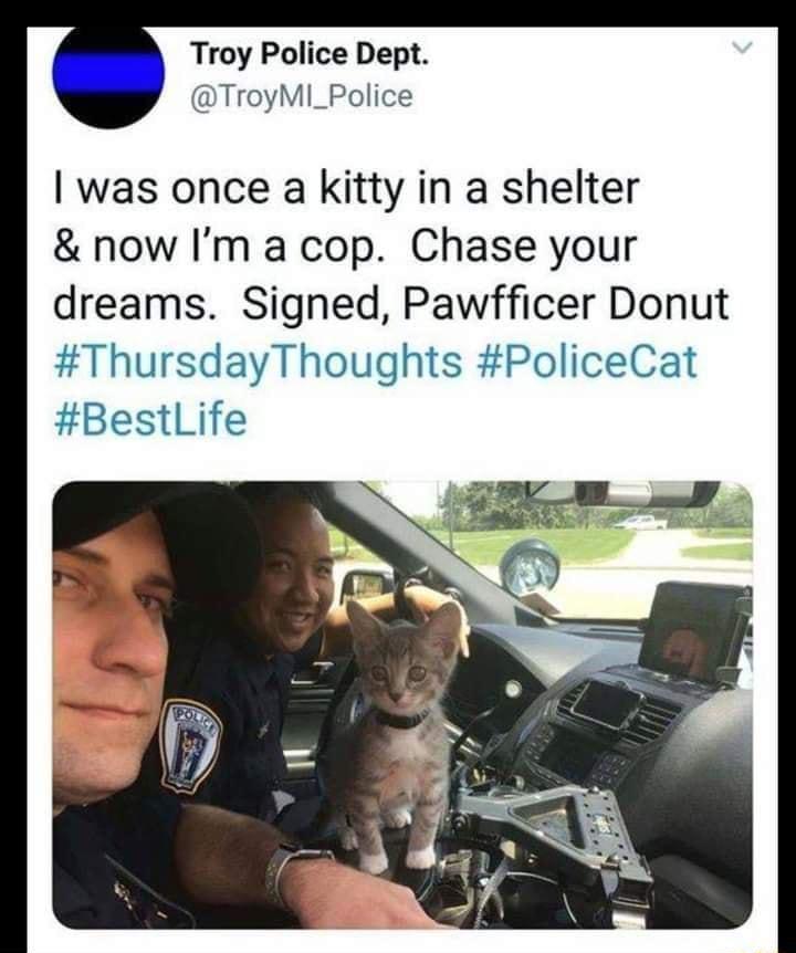 Troy Police Dept TroyMI_Police was once a kitty in a shelter now Im a cop Chase your dreams Signed Pawfficer Donut ThursdayThoughts PoliceCat BestLife