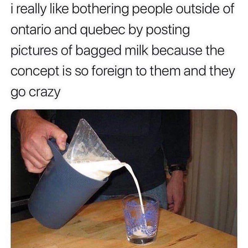 i really like bothering people outside of ontario and quebec by posting pictures of bagged milk because the concept is so foreign to them and they go crazy