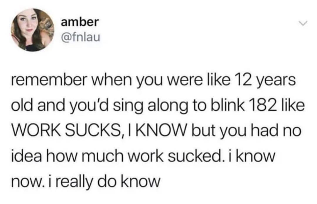 L amber fnlau remember when you were like 12 years old and youd sing along to blink 182 like WORK SUCKS KNOW but you had no idea how much work sucked i know now i really do know