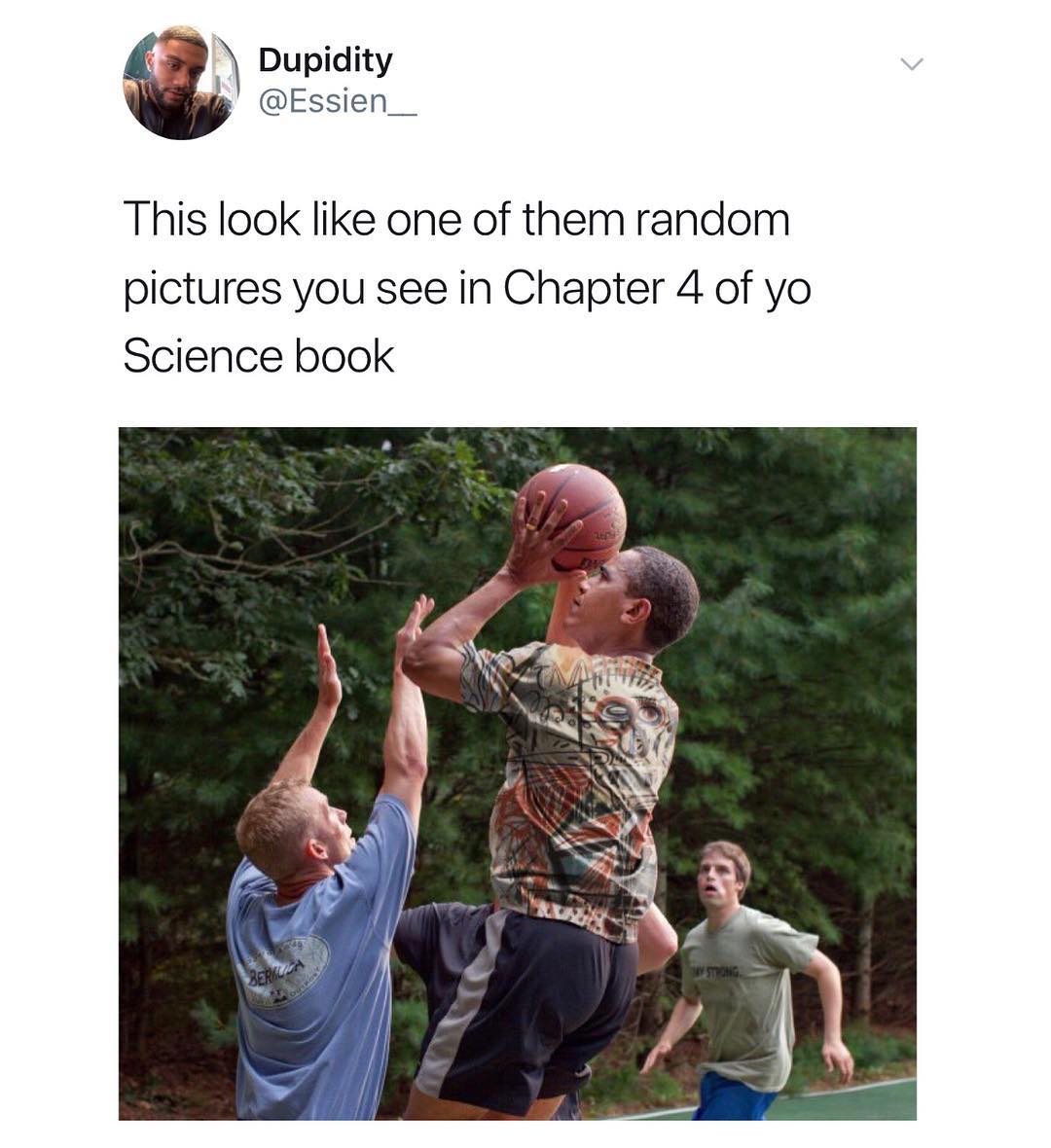 Dupidity Essien__ This look like one of them random pictures you see in Chapter 4 of yo Science book