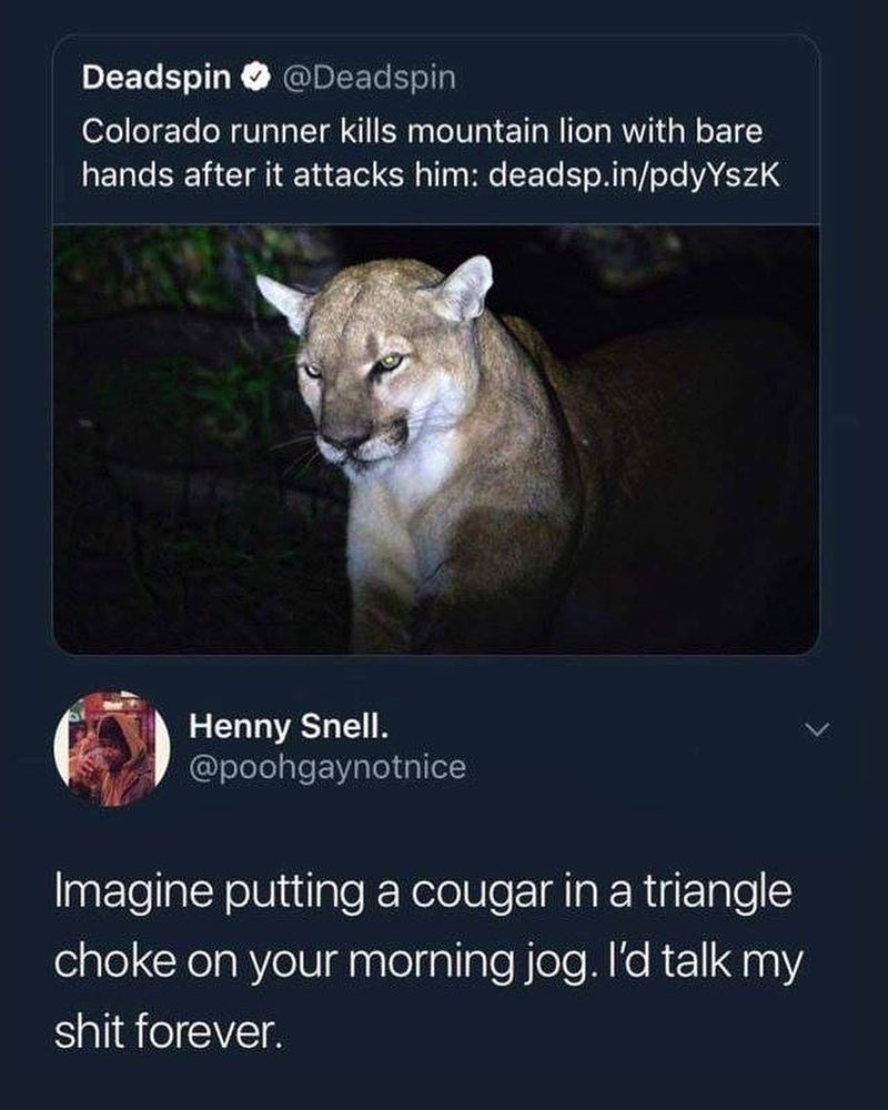 Deadspin Deadspin Colorado runner kills mountain lion with bare hands after it attacks him deadspinpdyYszK Henny Snell e JGlelelelple k pleliplel aatlollalcNolUjutlplefNelolUleFIIaR RigF10le elale CRelghYeU daslefalIalofleIe MEehr 1100Y shit forever