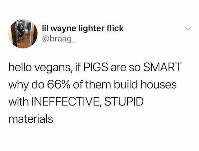 lil wayne lighter flick braag_ hello vegans if PIGS are so SMART why do 66 of them build houses with INEFFECTIVE STUPID materials
