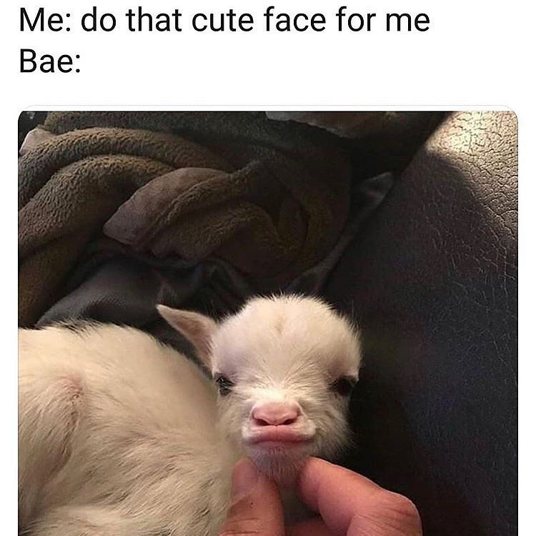 Me do that cute face for me Bae