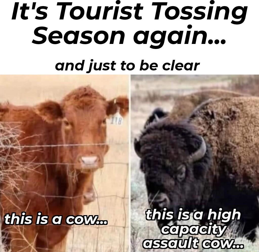 Its Tourist Tossing Season again and just to be clear this isfa hlgh caacty T CEIUE G