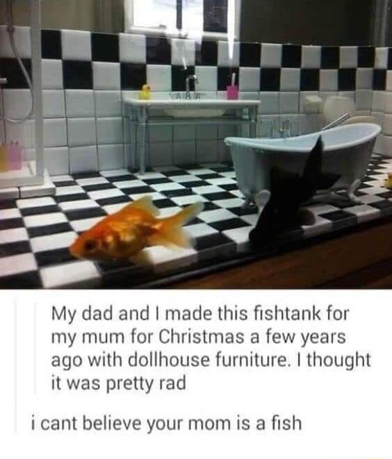 My dad and made this fishtank for my mum for Christmas a few years ago with dollhouse furniture thought it was pretty rad i cant believe your mom is a fish