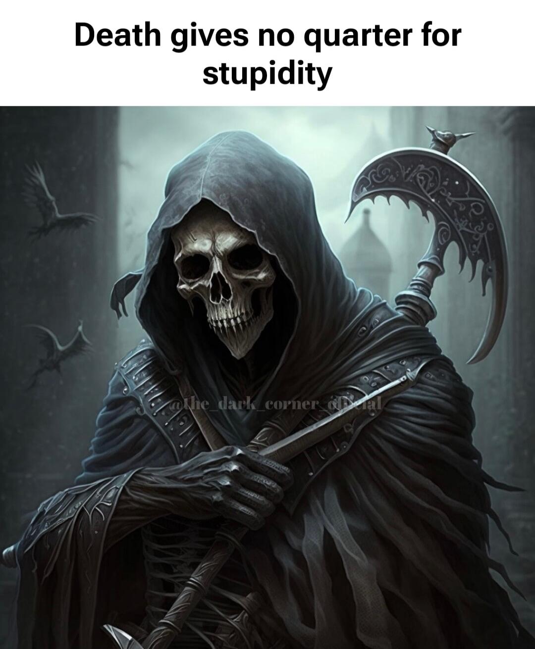 Death gives no quarter for stupidity