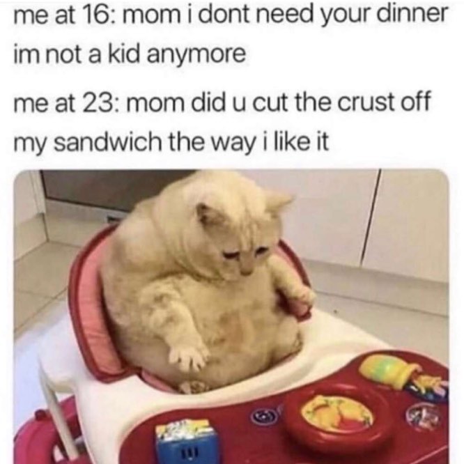 me at 16 mom i dont need your dinner im not a kid anymore me at 23 mom did u cut the crust off my sandwich the way i like it