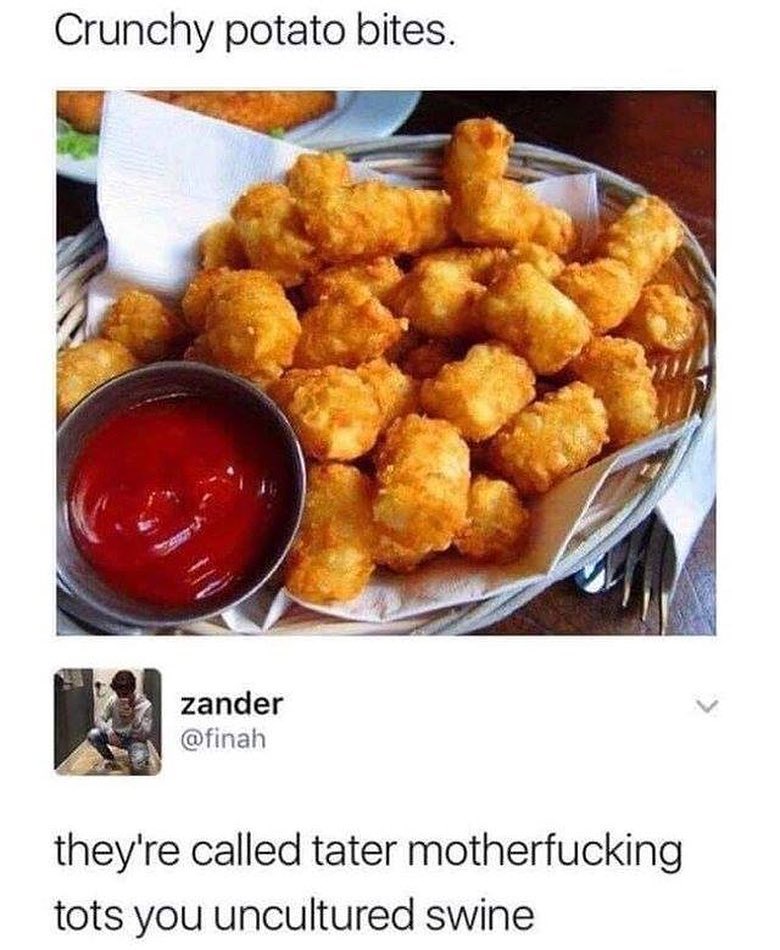 Crunchy potato bites zander v 4 finah theyre called tater motherfucking tots you uncultured swine