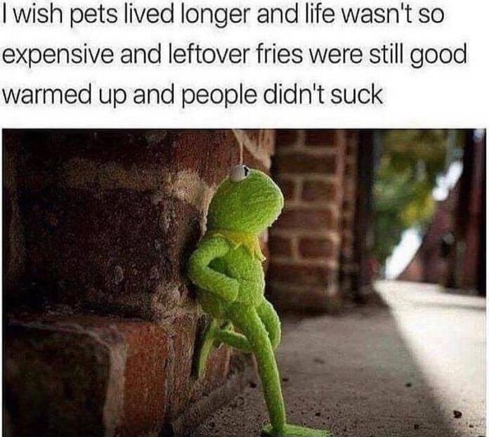 I wish pets lived longer and life wasn't so expensive and leftover fries were still good warmed up and people didn't suck