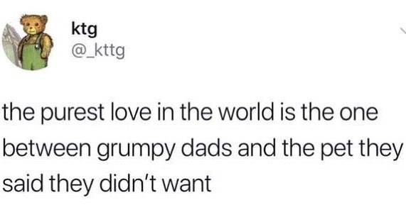 4 ktg _kttg the purest love in the world is the one between grumpy dads and the pet they said they didnt want