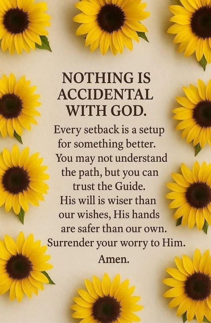 NOTHING IS ACCIDENTAL WITH GOD. Every setback is a setup for something better. You may not understand the path, but you can trust the Guide. His will is wiser than our wishes, His hands are safer than our own. Surrender your worry to Him. Amen.
