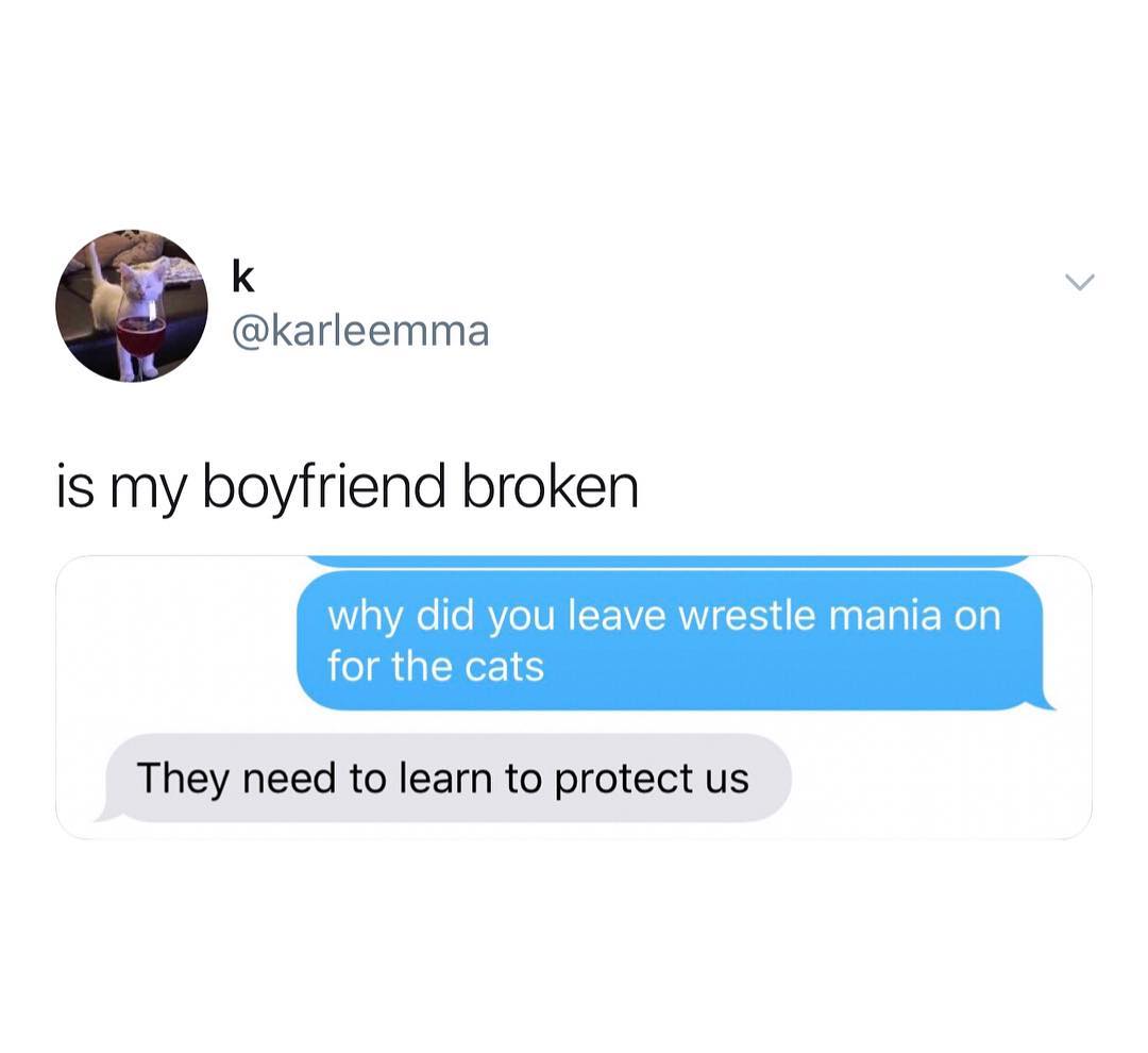 k karleemma is my boyfriend broken why did you leave wrestle mania on for the cats They need to learn to protect us