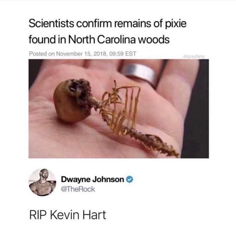 Scientists confirm remains of pixie found in North Carolina woods Posted on Nove 018 09 TheRock RIP Kevin Hart