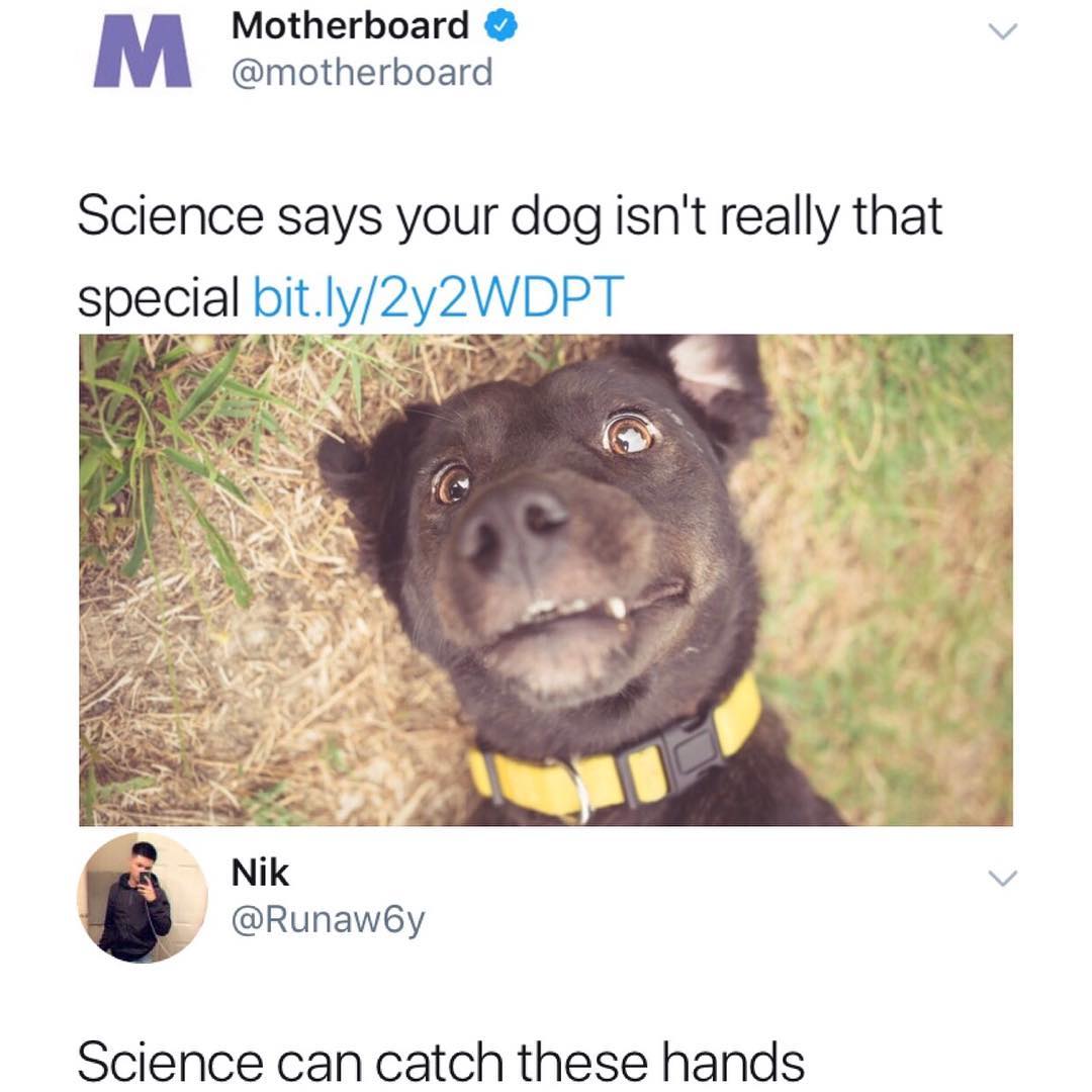 Motherboard v motherboard Science says your dog isnt really that spemal bit Iy2y2WDPT 2 all Nik v Runawby Science can catch these hands