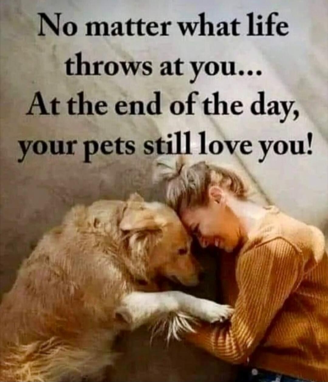No matter what life throws at you... At the end of the day, your pets still love you!