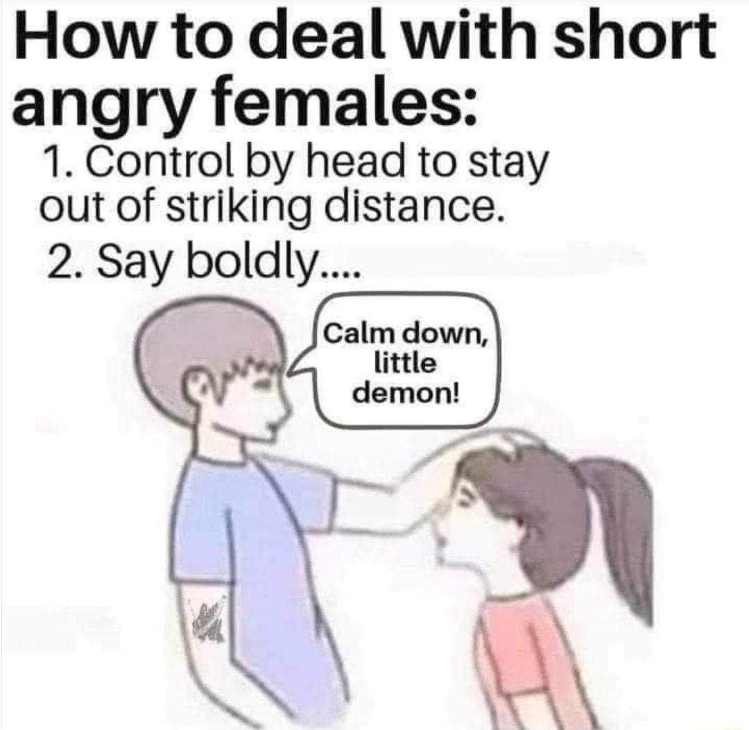 How to deal with short angry females 1 Control by head to stay out of striking distance 2 Say boldly Calm down little demon N L B