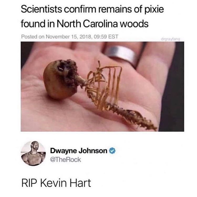 Scientists confirm remains of pixie found in North Carohna woods Posted on No EST N Dwayne Johnson TheRock RIP Kevin Hart