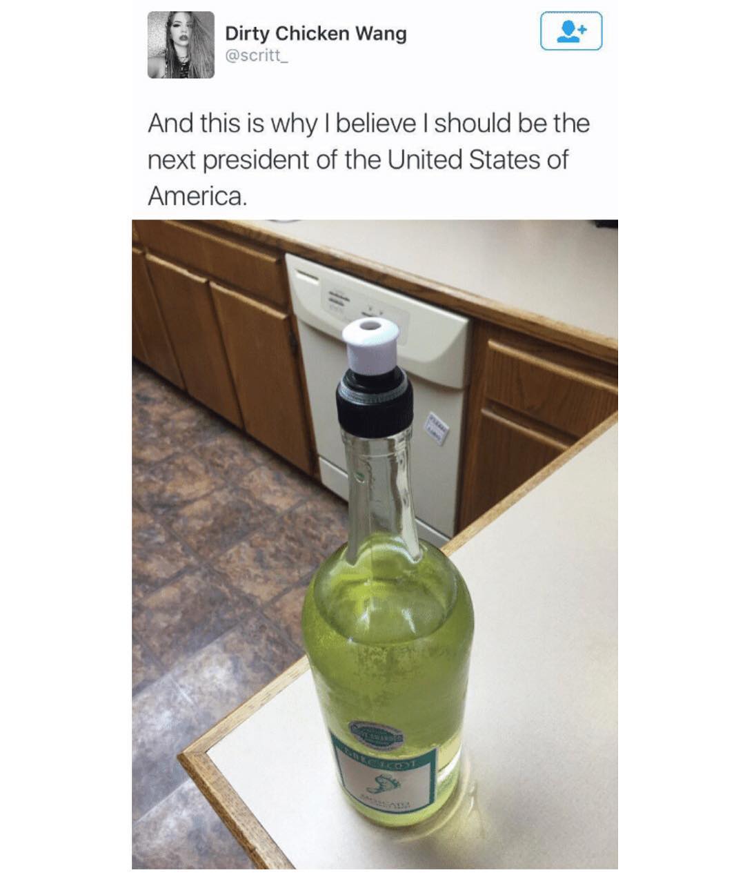 g Dirty Chicken Wang 2 scritt_ And this is why believe should be the next president of the United States of America