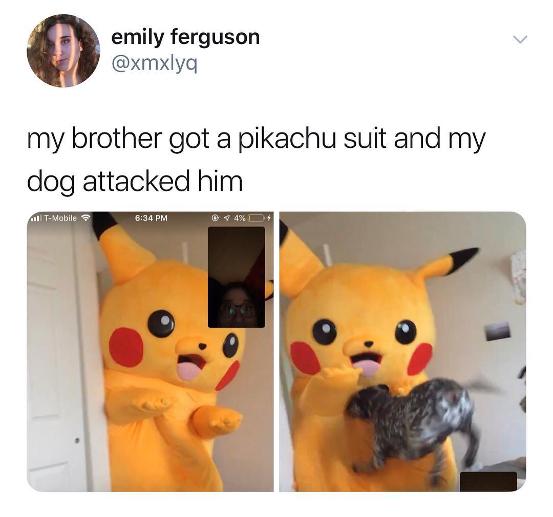 emily ferguson v xmxlyq my brother got a pikachu suit and my dog attacked him