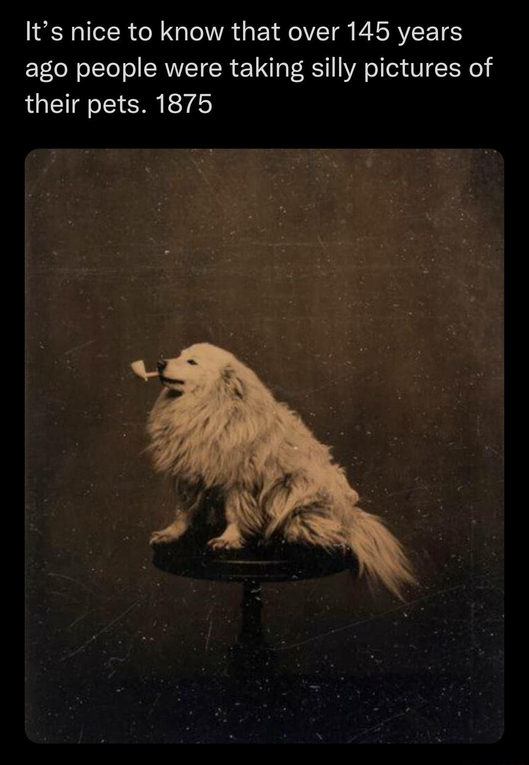Its nice to know that over 145 years ago people were taking silly pictures of their pets 1875