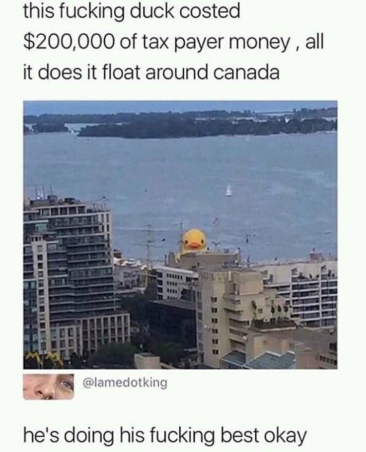 this fucking duck costed 200000 of tax payer money all it does it float around canada M lamedotking hes doing his fucking best okay