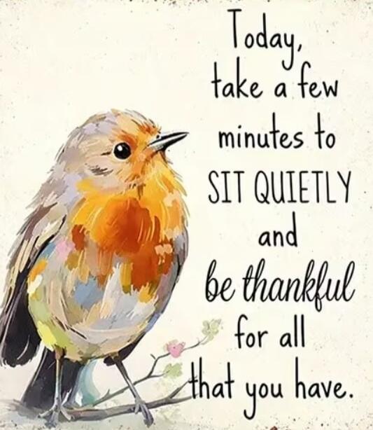 Today, take a few minutes to SIT QUIETLY and be thankful for all that you have.