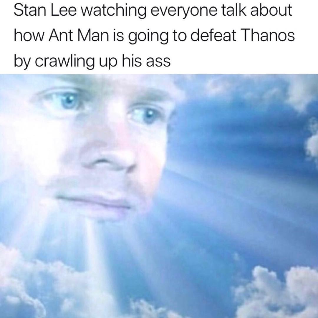 Stan Lee watching everyone talk about how Ant Man is going to defeat Thanos by crawling up his ass Y