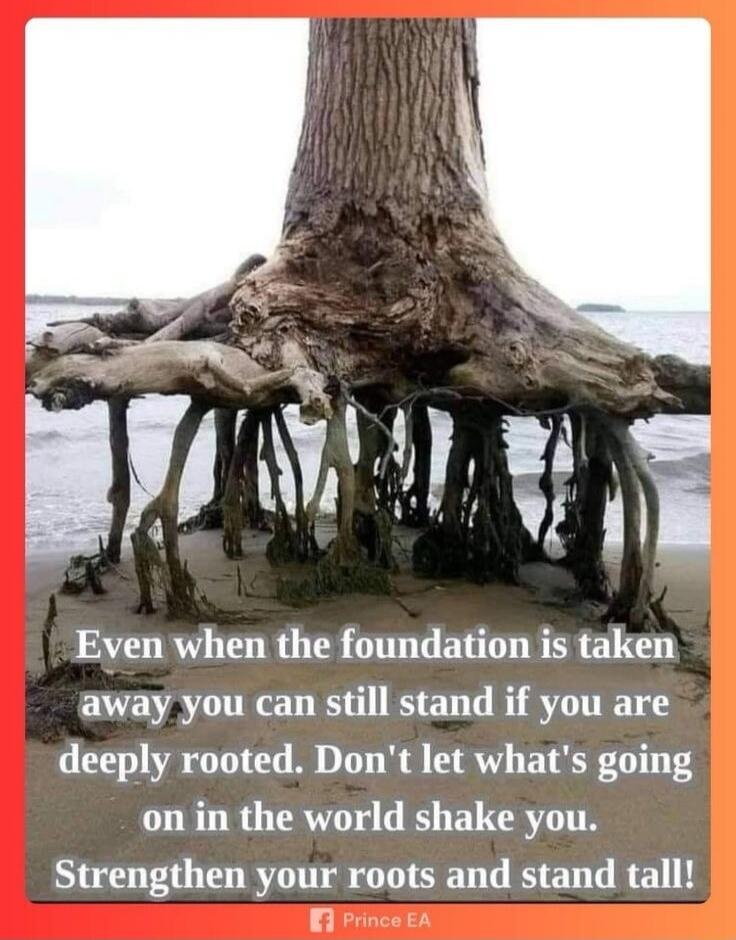 Even when the foundation is taken away you can still stand if you are deeply rooted. Don't let what's going on in the world shake you. Strengthen your roots and stand tall! Prince EA