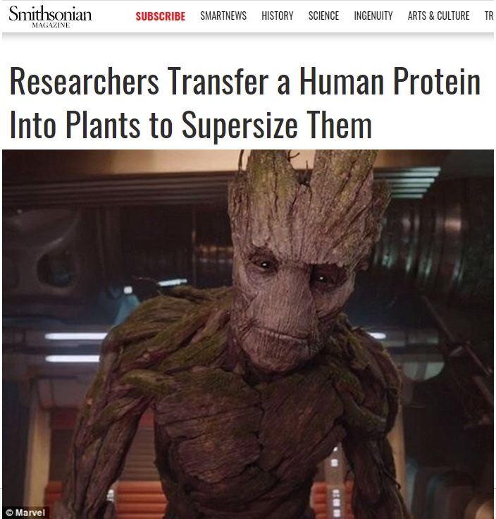 Marvel Slljt1 i Researchers Transfer a Human Protein Into Plants to Supersize Them il