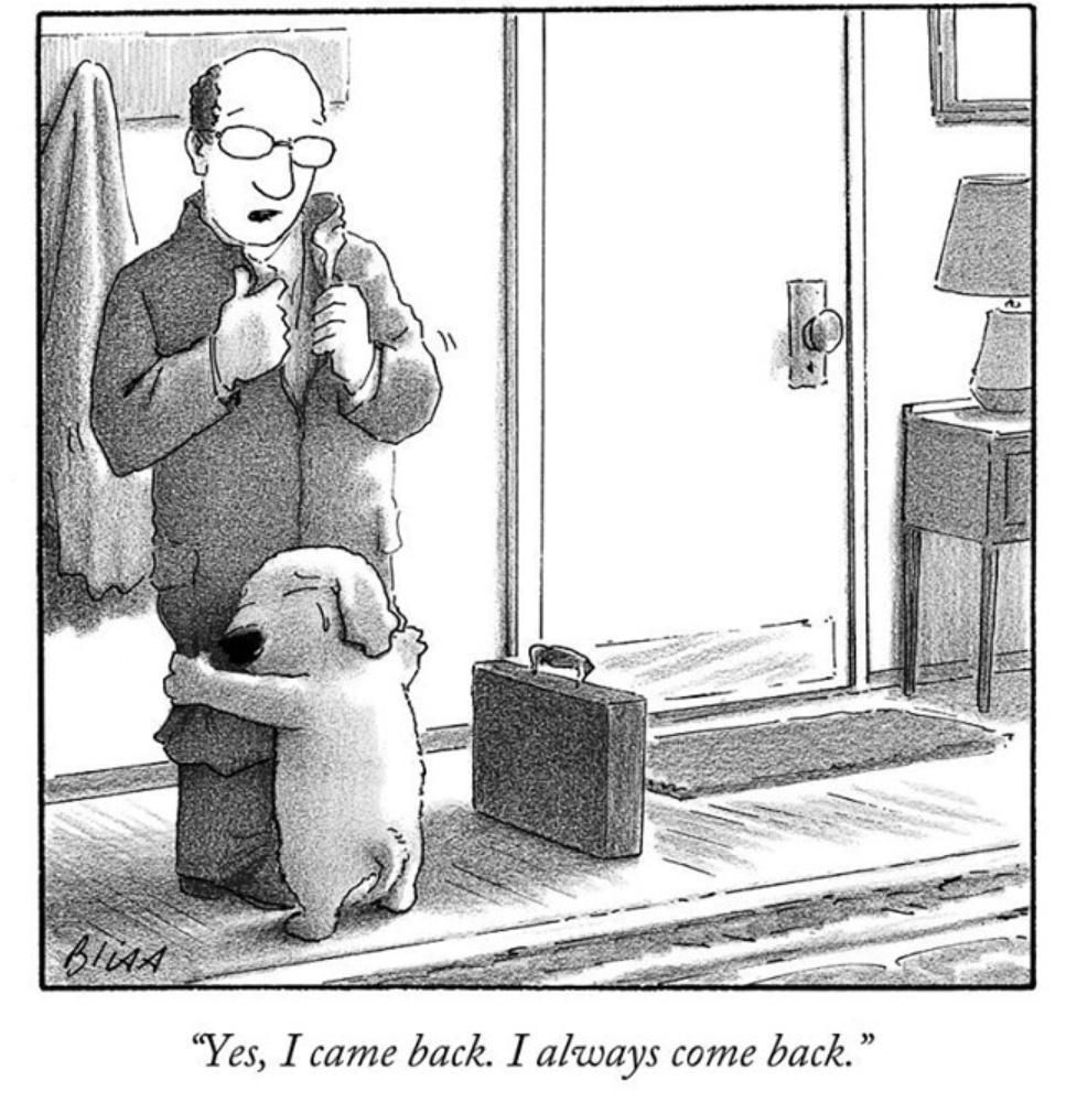 Yes I came back I always come back