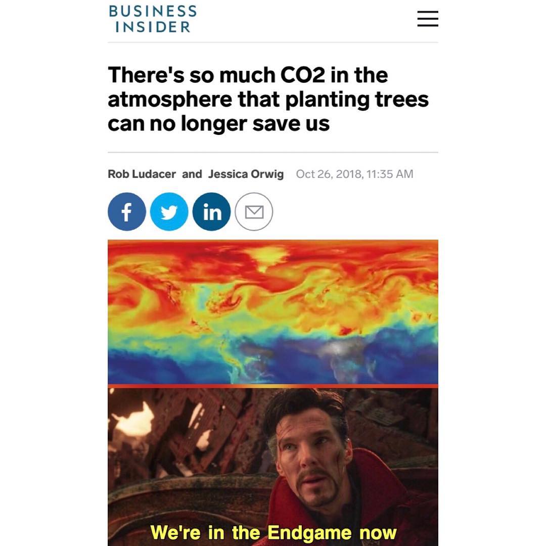 BUSINESS INSIDER Theres so much CO2 in the atmosphere that planting trees can no longer save us Rob Ludacer and Jessica Orwig Oct 262018 1135 AM 000 Were in the Endgame now