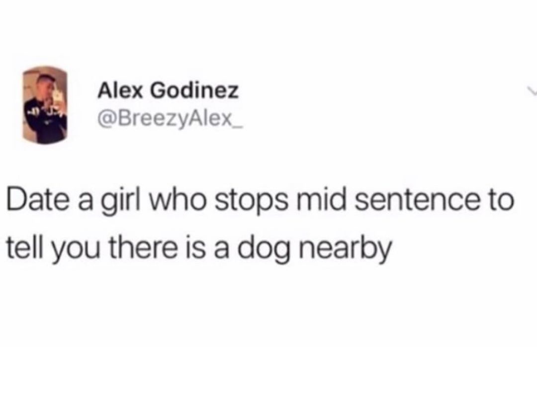 Alex Godinez BreezyAlex Date a girl who stops mid sentence to tell you there is a dog nearby
