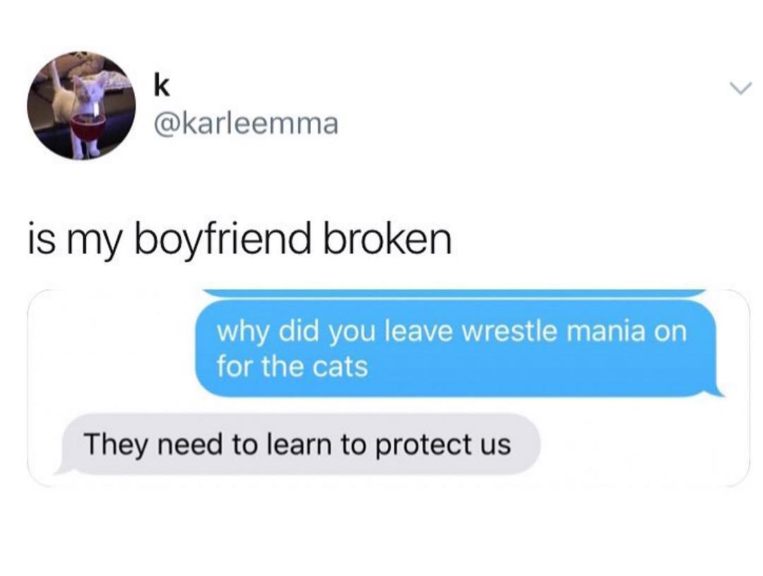 k karleemma is my boyfriend broken why did you leave wrestle mania on for the cats They need to learn to protect us
