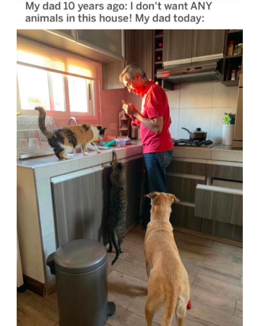 My dad 10 years ago dont want ANY animals in this house My dad today