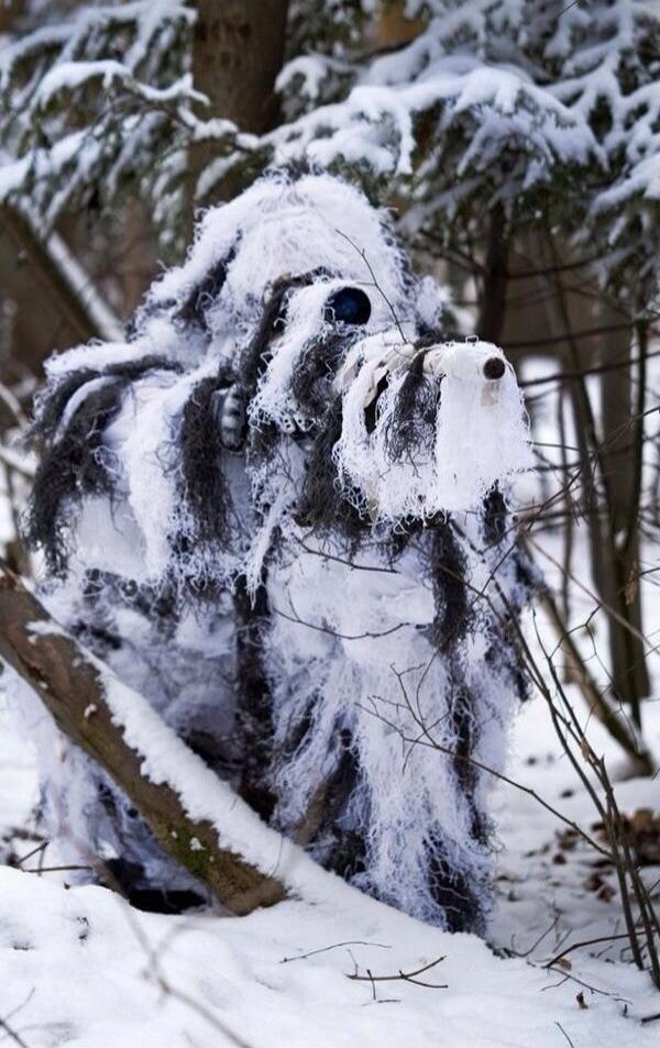Snow-covered dog figure in a forest; long shaggy fur and a prominent nose visible.