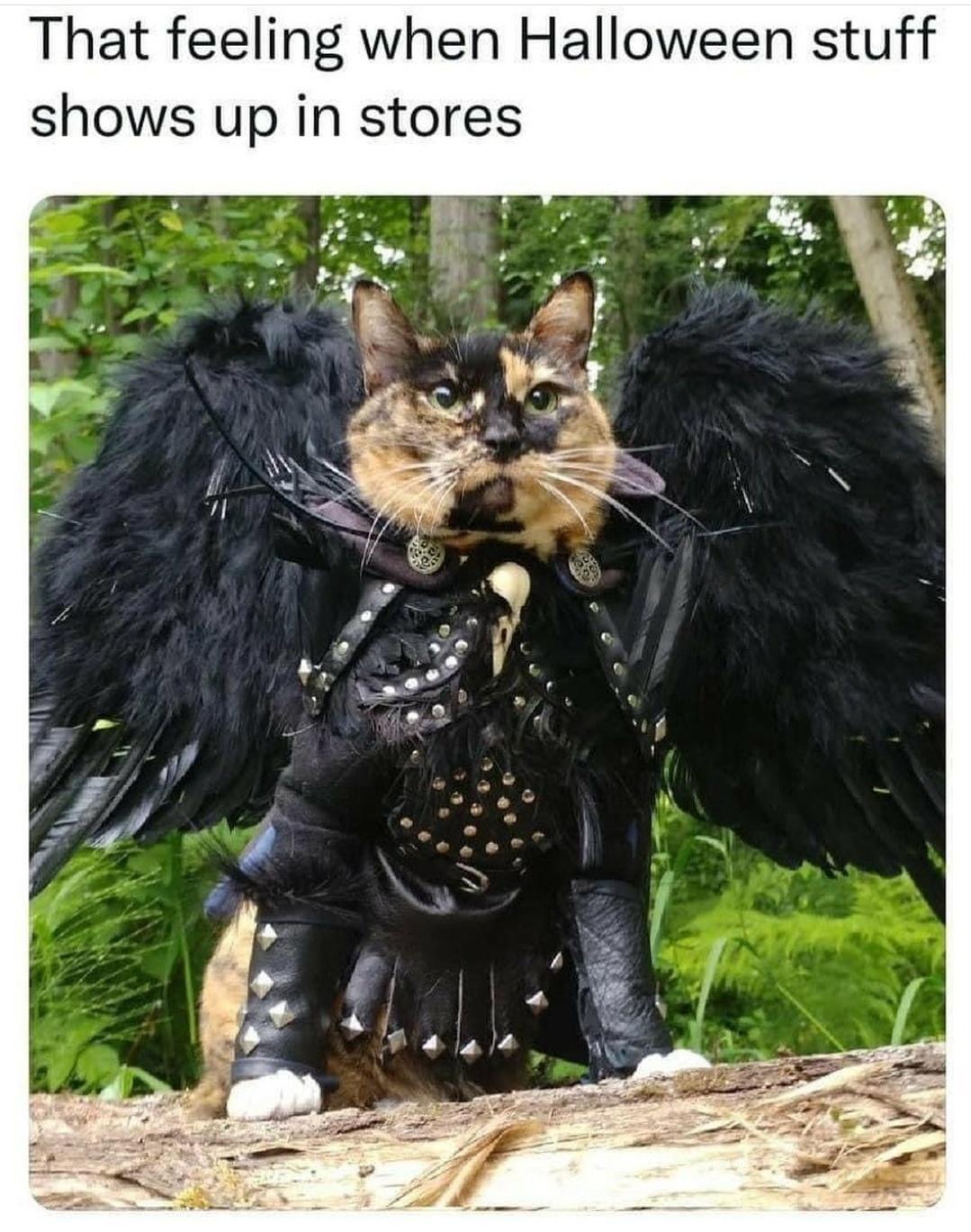 That feeling when Halloween stuff shows up in stores